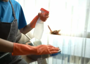 Home Improvement Services